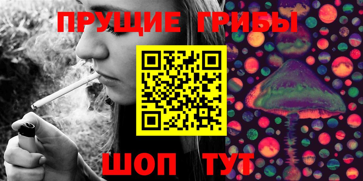 Псилоцибиновые грибы Psilocybe  Псилоцибиновые грибы MAGIC MUSHROOMS  Асино  Вход с VPN 