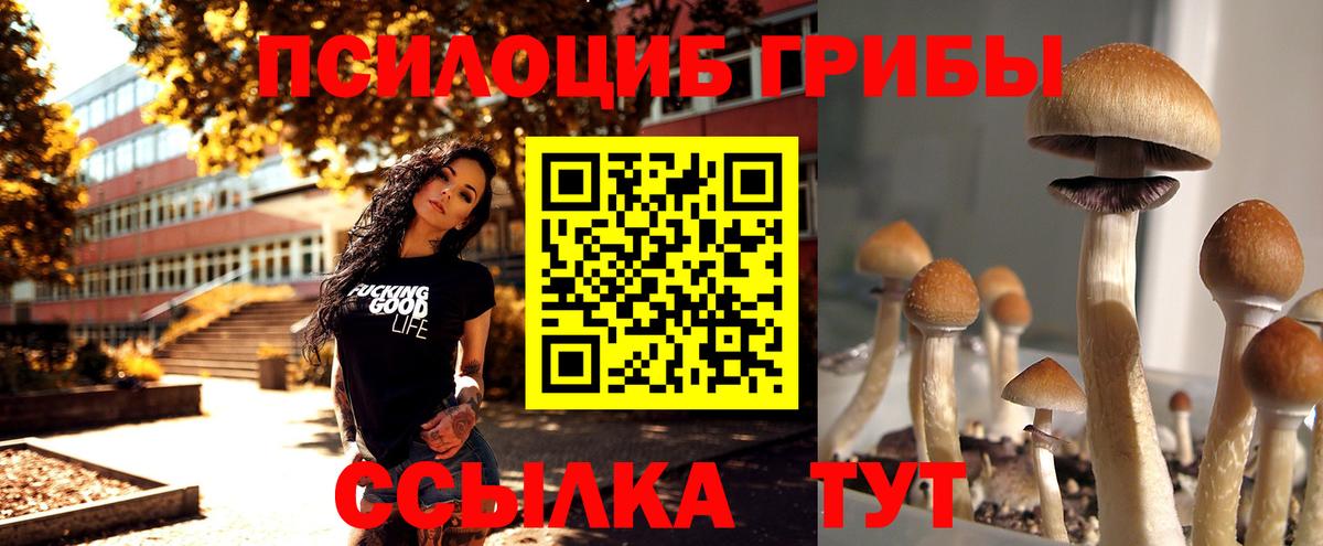 Галлюциногенные грибы Magic Shrooms Асино